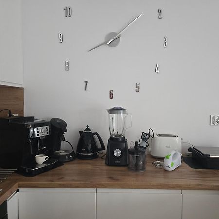 Apartament Przy Kopalni Srebra Tarnowskie Góry Kültér fotó